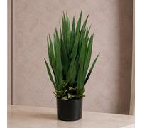 Leaf Botanik 70Cm Green Artificial Palm Tree (2)