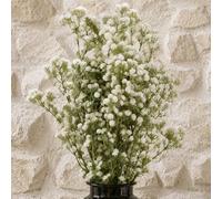 Leaf Botanik 85cm White Artificial Flower Stems Pack of 6 Leaf White