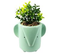 Leaf Ceramic Animal Planters, Elephant Foliage, 20cm