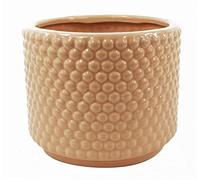 Dusty Pink Raised Dots Ceramic Plant Pot 15 x 15 x 12.5cm Leaf Pink One Size