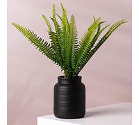 Leaf Ceramic Indoor Cachepot Planters, 14cm Black