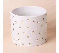 Gold Dot Planter Plant Pot 18 x 18 x 15cm Leaf White One Size