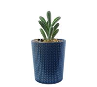 Leaf Ceramic Stripe Planter with Artificial Plant