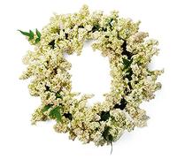 Leaf Design Artificial Berry Wreath, White, 55cm