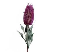 75cm Banksia Menziesii Pink Flower Stem Artificial Leaf Pink One Size