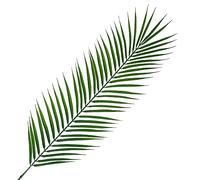100cm Realistic Artificial Palm Leaf Leaf Green One Size