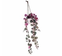 Leaf Design Artificial Hanging Plants