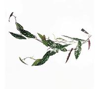 Leaf Design Artificial Hanging Plants