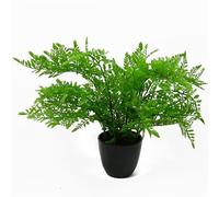 Leaf 30Cm Artificial Potted Southern Wood Fern Black Pot, Green
