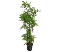 Leaf Design Realistic Artificial Fern Plant