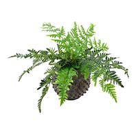 Leaf Design Realistic Artificial Fern Plant