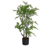 90cm Artificial Natural Moss Base Fern Foliage Plant Leaf Green One Size