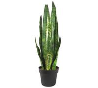 Leaf 70Cm Artificial Sansevieria Zeylanica Plant