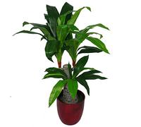 Leaf Design UK Artificial Dracaena Plant with Black Pot