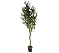 Leaf Design UK Artificial Olive Tree in Black Plastic Pot