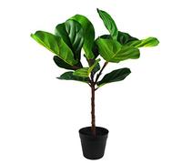 Leaf Design 60cm Artificial Fiddle Fig Plant