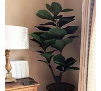 Leaf Design UK Artificial Realistic Potted House Plants