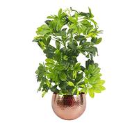 Leaf Design UK Artificial Realistic Potted House Plants, Golden Capella - Copper, 65 cm