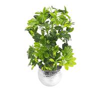 75cm Artificial Arboricola Gold Capella Plant - Silver Metal Planter