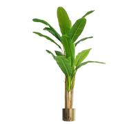 Artificial Banana Tree Tropical Plant HUGE 6ft Gold Metal Planter Leaf Green One Size