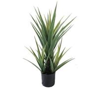 Leaf Design UK Artificial Yukka Tropical House Plant