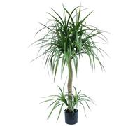 Leaf Design UK Artificial Yukka Tropical House Plant