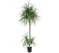 Leaf Design UK Artificial Yukka Tropical House Plant