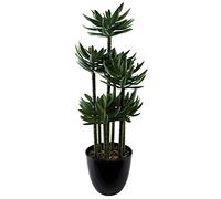 Leaf Design UK Artificial Yukka Tropical House Plant, 60 cm, Black