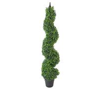 Leaf Design UK Buxus Boxwood Spiral Trees