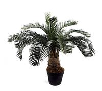Leaf Design UK Large Realistic Artificial Palm Tree, 60 cm, Cycas Tropical