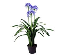 Leaf Design 90cm Blue Flower Artificial Blossom Plant Agapanthus with pot