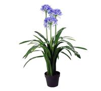 Leaf Design UK Realistic Artificial Blossom Tree, Agapanthus Flower Blue, 90cm