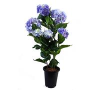 Leaf Design UK Realistic Artificial Flower Plant Tree