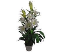 90cm (3ft) Artificial Lily Stargazer Style Lillies Plant Large Flowers White Leaf White One Size
