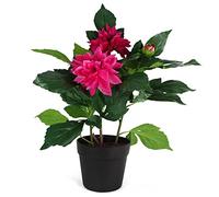 Leaf Design UK Realistic Artificial Flower Plant Tree, 50cm, Dhalia Pink
