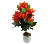 Leaf Design UK Realistic Artificial Flower Plant Tree, 55cm Red Dahlia