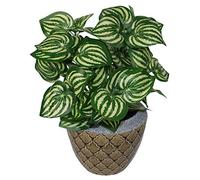 Leaf Design UK Realistic Artificial Foliage Plant with Pot