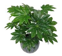 Leaf Design UK Realistic Artificial Foliage Plant with Pot, Aralia, 60cm
