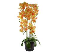 Leaf Design UK Realistic Artificial Orchid Flower Display in Pot, 110cm