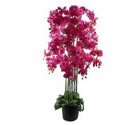 Leaf Design UK Realistic Artificial Orchid Flower Display in Pot, 150cm