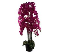 Leaf Design UK Realistic Artificial Orchid Flower Display in Pot, 150cm
