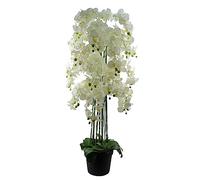 Leaf Design UK Realistic Artificial Orchid Flower Display in Pot, 150cm Real Touch White