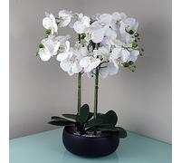 Leaf Design UK Realistic Artificial Orchid Flower Display in Pot