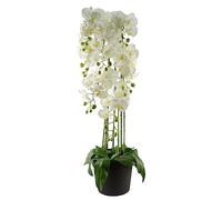 Leaf Design UK Realistic Artificial Orchid Flower Display in Pot