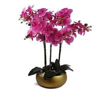 60cm Orchid Purple - Gold Ceramic Planter Leaf Green One Size