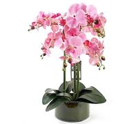 Leaf Design UK Realistic Artificial Orchid Flower Display in Pot, 50cm Pink/Glass Planter, 50cm Pink/Glass Planter