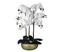 Leaf Design UK Realistic Artificial Orchid Flower Display in Pot,60cm
