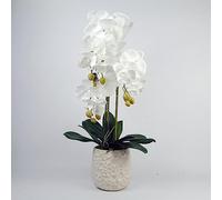 Leaf Design UK Realistic Artificial Orchid Flower Display in Pot, 60cm, 60cm White/Bubble Planter