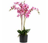 Leaf Design UK Realistic Artificial Orchid Flower Display in Pot, 60cm, Pink