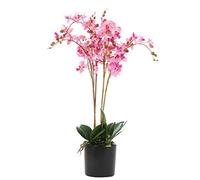 Leaf Design UK Realistic Artificial Orchid Flower Display in Pot, 60cm, Pink